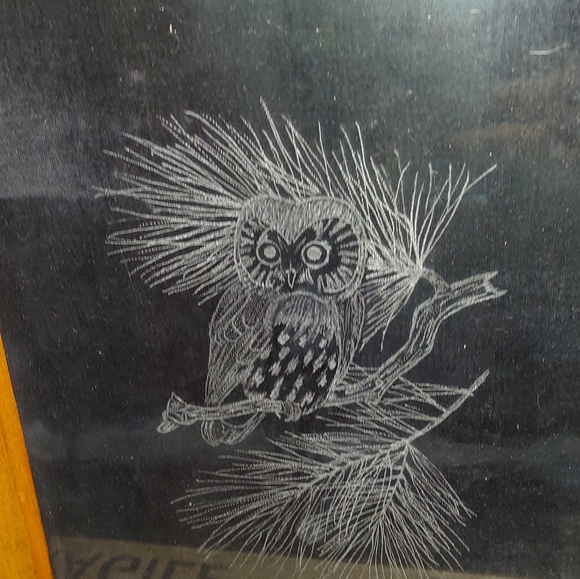 Vintage Hand Crafted Etched Snow Owl on Glass Picture Signed artist 1 of a Kind - Picture 8 of 11